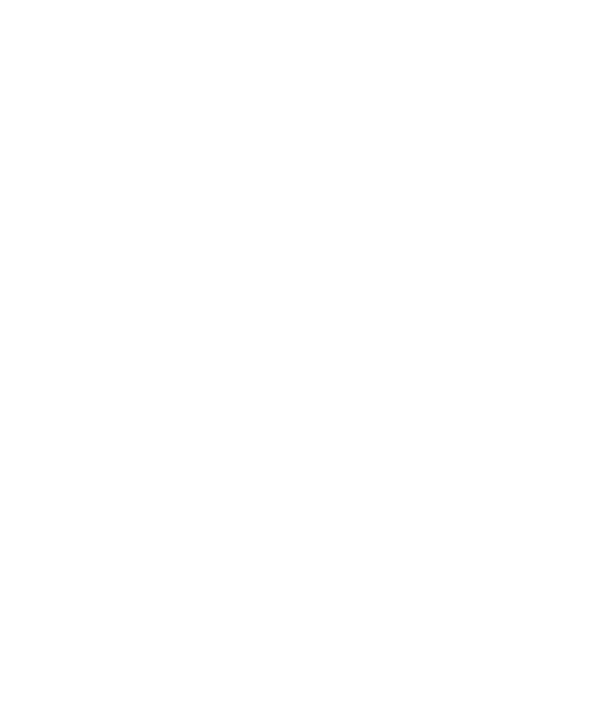 Catosfera Girona 2017